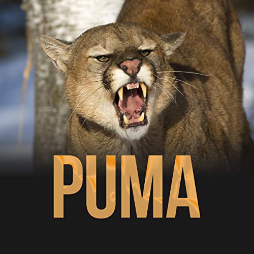 Cover of Puma