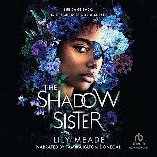 Cover of The Shadow Sister