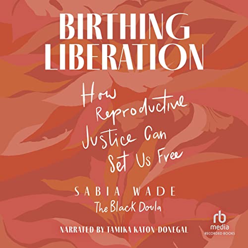 Cover of Birthing Liberation