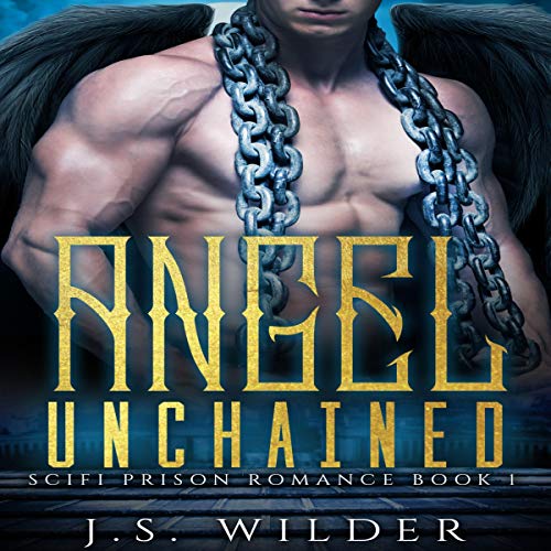 Cover of Angel Unchained