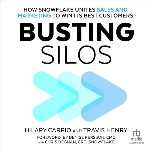 Cover of Busting Silos
