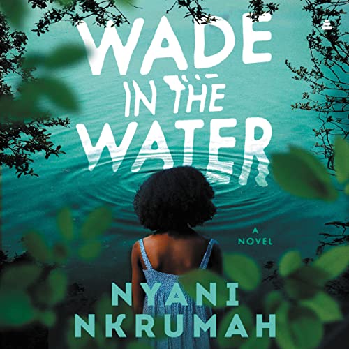 Cover of Wade in the Water
