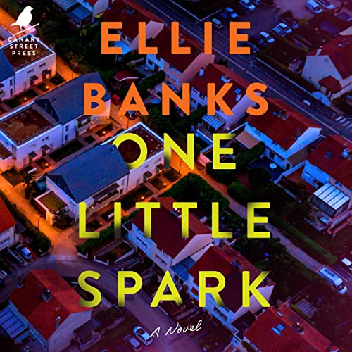 Cover of One Little Spark