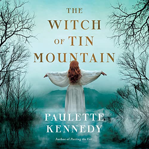 Cover of The Witch of Tin Mountain