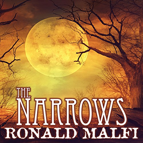 Cover of The Narrows