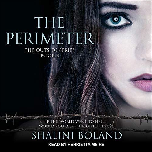 Cover of The Perimeter