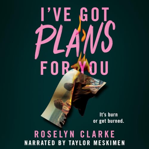 Cover of I've Got Plans for You