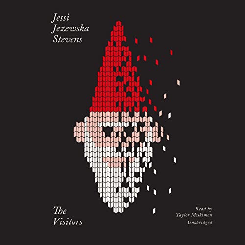 Cover of The Visitors