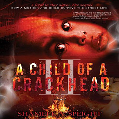 Cover of A Child of a Crackhead II