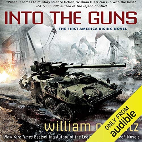 Cover of Into the Guns
