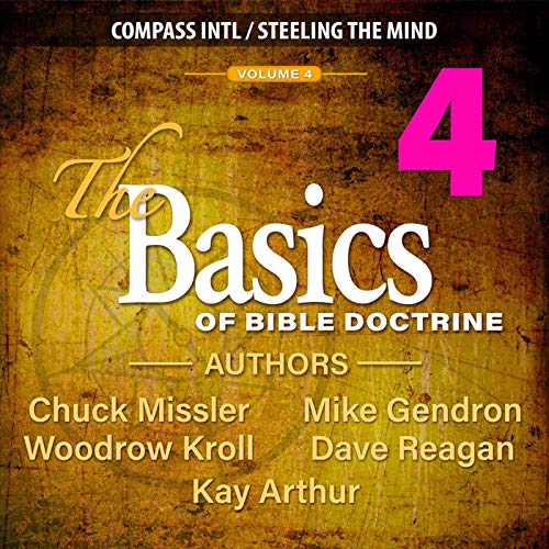 Cover of The Basics of Bible Doctrine: Volume 4