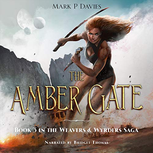 Cover of The Amber Gate