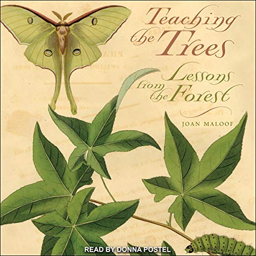 Cover of Teaching the Trees