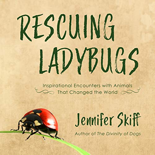 Cover of Rescuing Ladybugs
