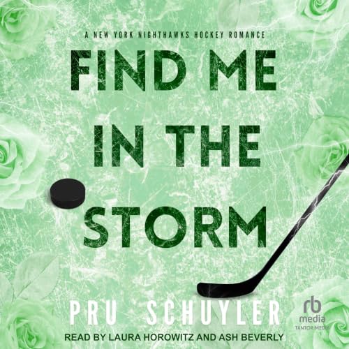 Cover of Find Me in the Storm