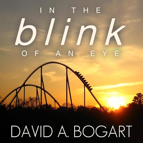 Cover of In the Blink of an Eye