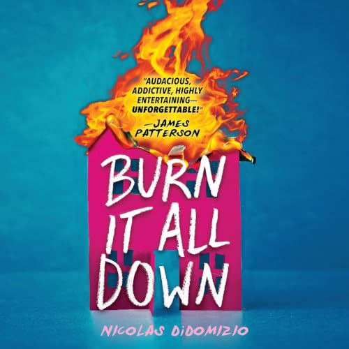 Cover of Burn It All Down