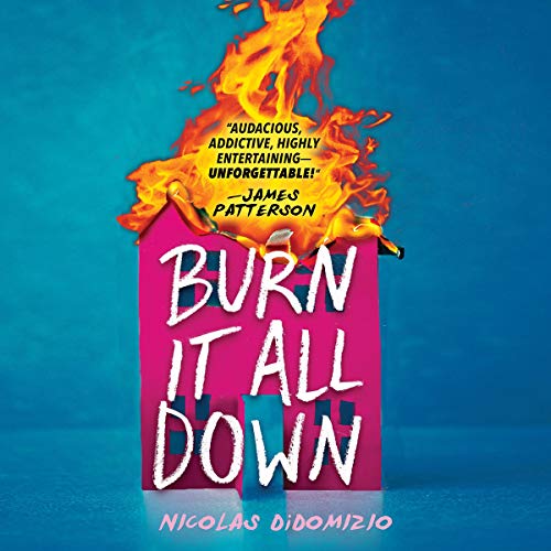 Cover of Burn It All Down
