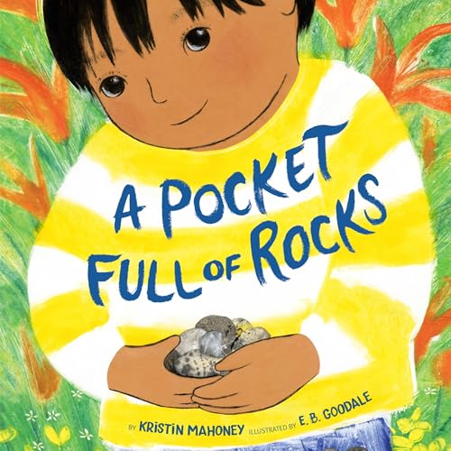 Cover of A Pocket Full of Rocks