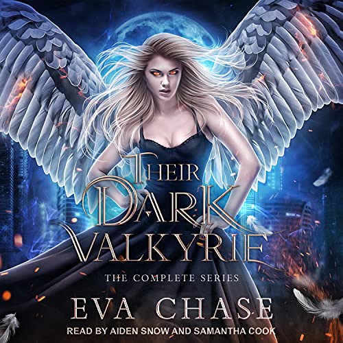 Cover of Their Dark Valkyrie