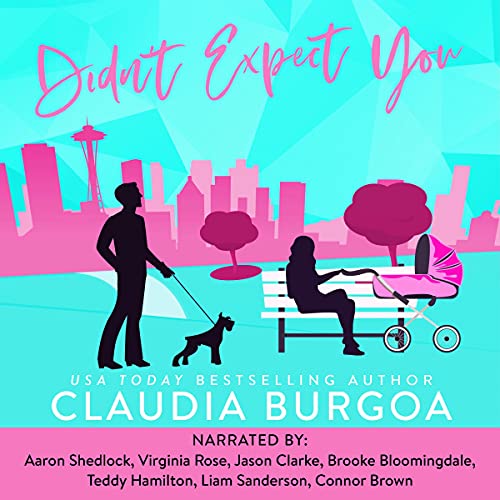 Cover of Didn't Expect You