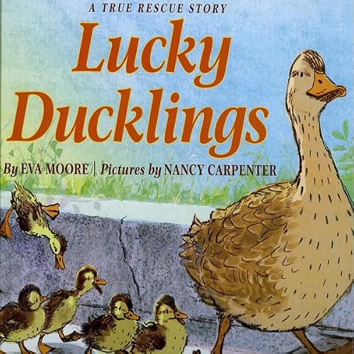 Cover of Lucky Ducklings