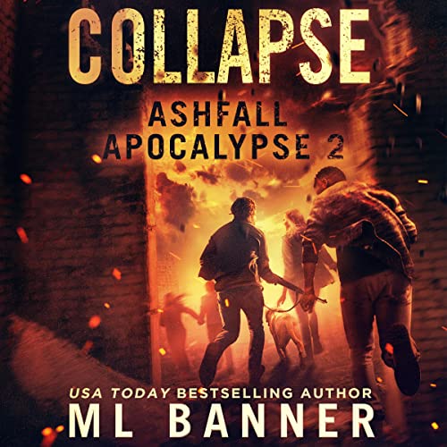 Cover of Collapse