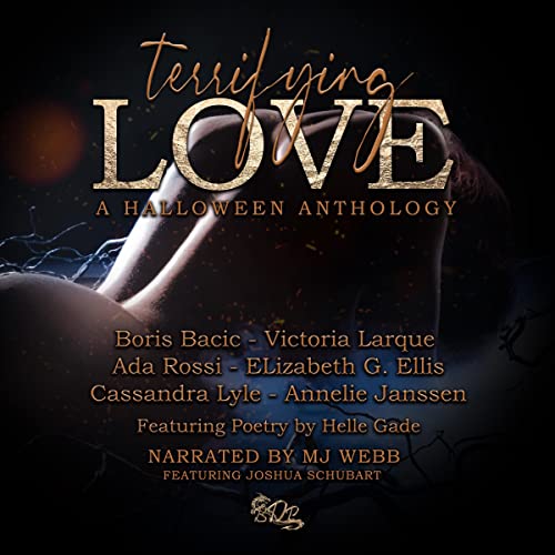 Cover of Terrifying Love