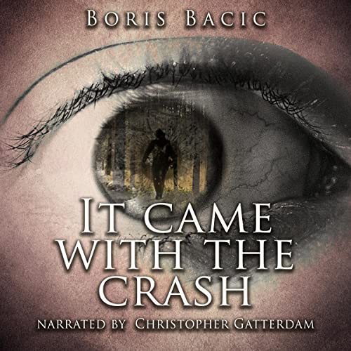 Cover of It Came with the Crash