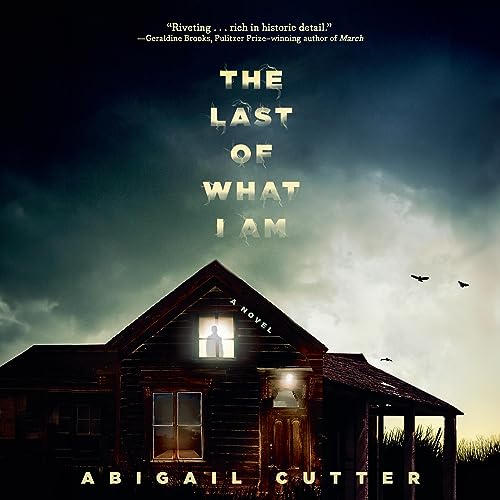 Cover of The Last of What I Am