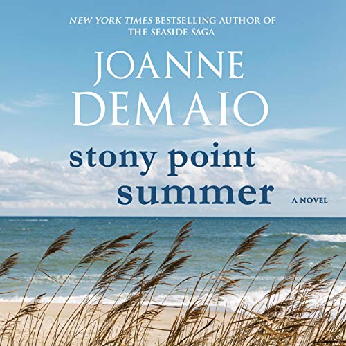 Cover of Stony Point Summer
