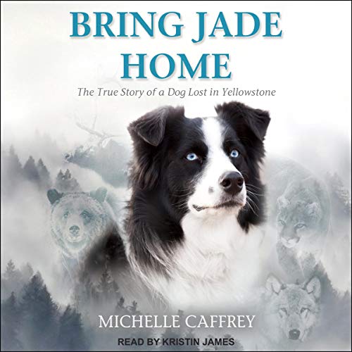 Cover of Bring Jade Home