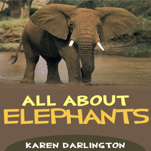 Cover of All About Elephants