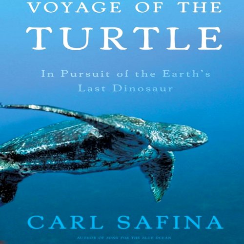 Cover of Voyage of the Turtle