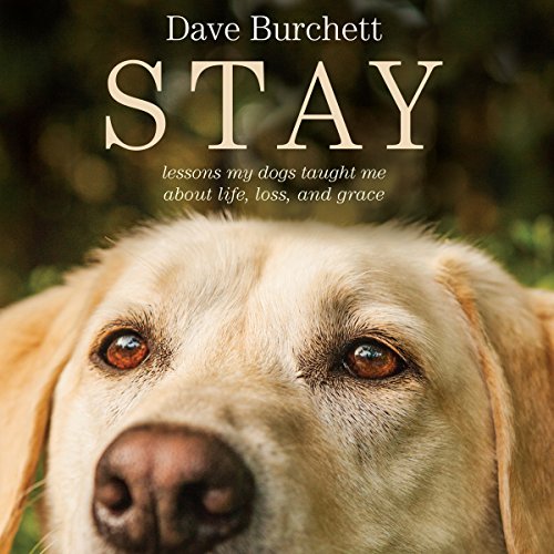 Cover of Stay