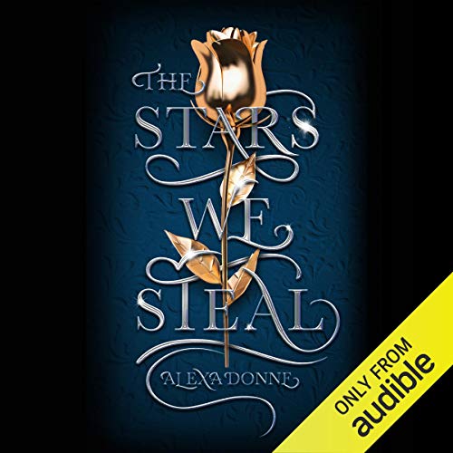 Cover of The Stars We Steal
