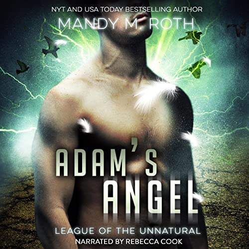 Cover of Adam's Angel