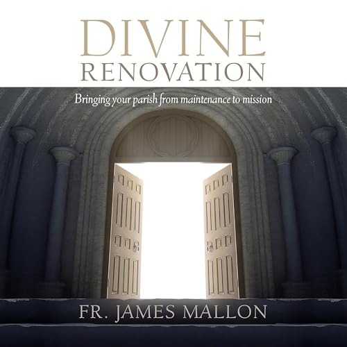 Cover of Divine Renovation