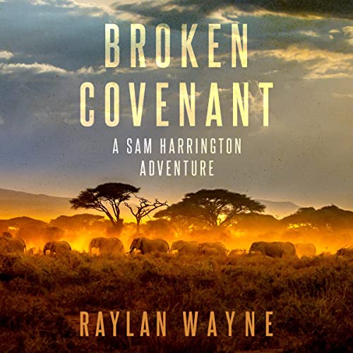 Cover of Broken Covenant