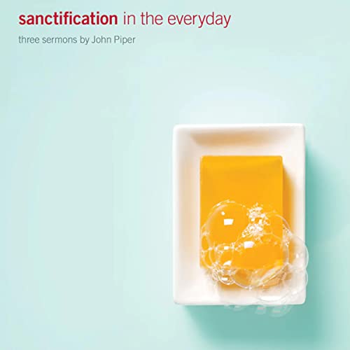 Cover of Sanctification in the Everyday