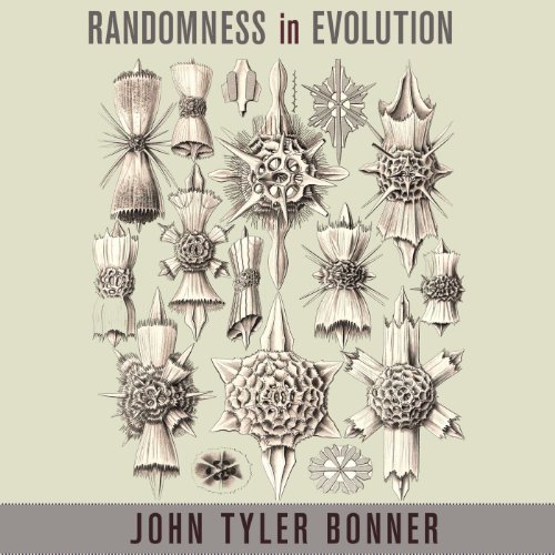 Cover of Randomness in Evolution