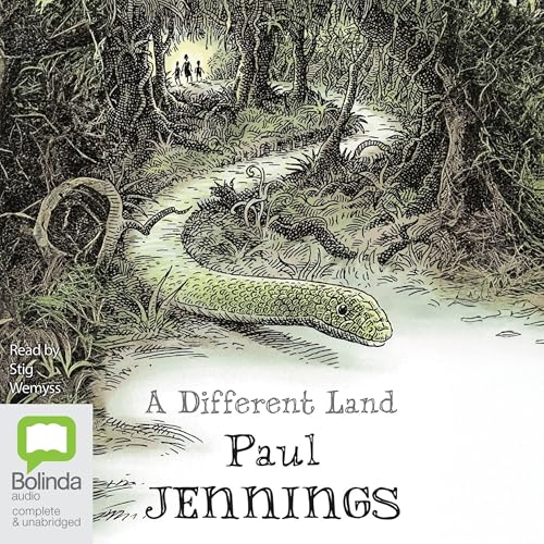 Cover of A Different Land