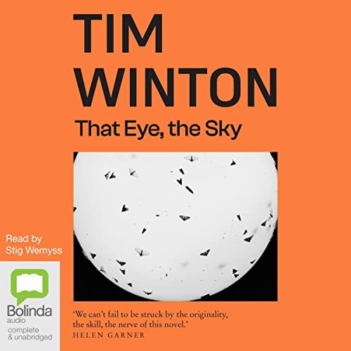 Cover of That Eye, The Sky