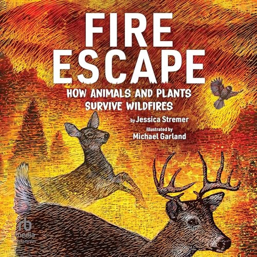 Cover of Fire Escape