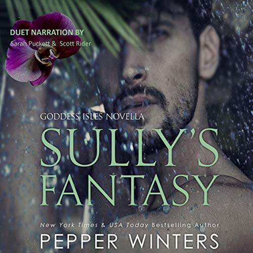 Cover of Sully's Fantasy