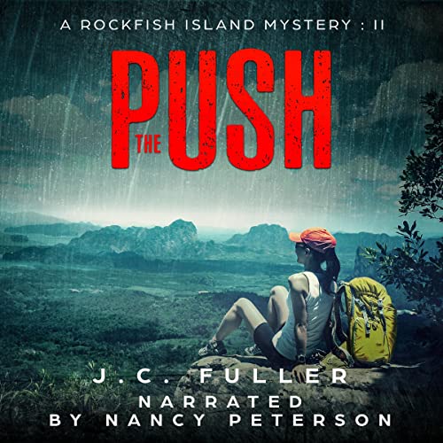 Cover of The Push