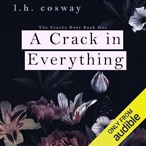 Cover of A Crack in Everything