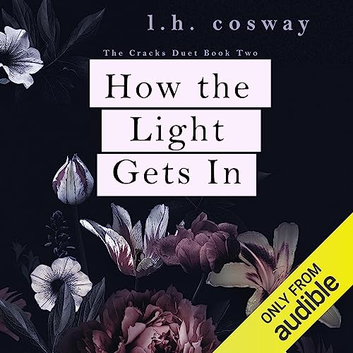 Cover of How the Light Gets In