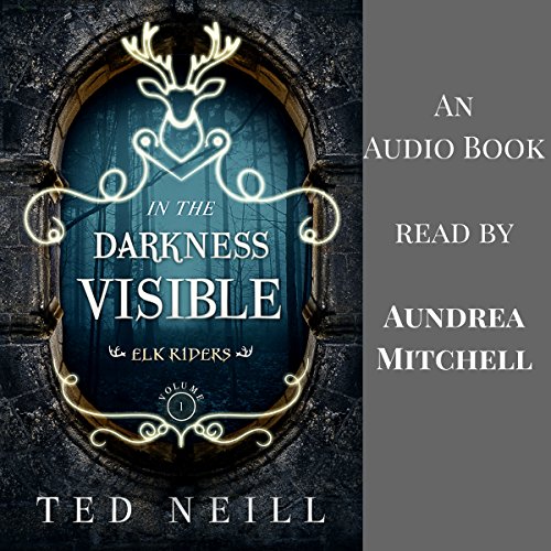 Cover of In the Darkness Visible