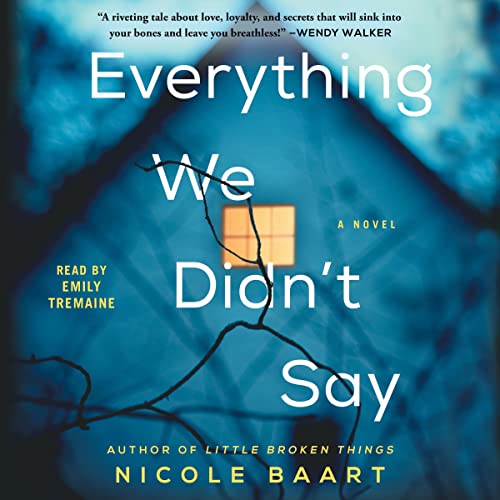 Cover of Everything We Didn't Say